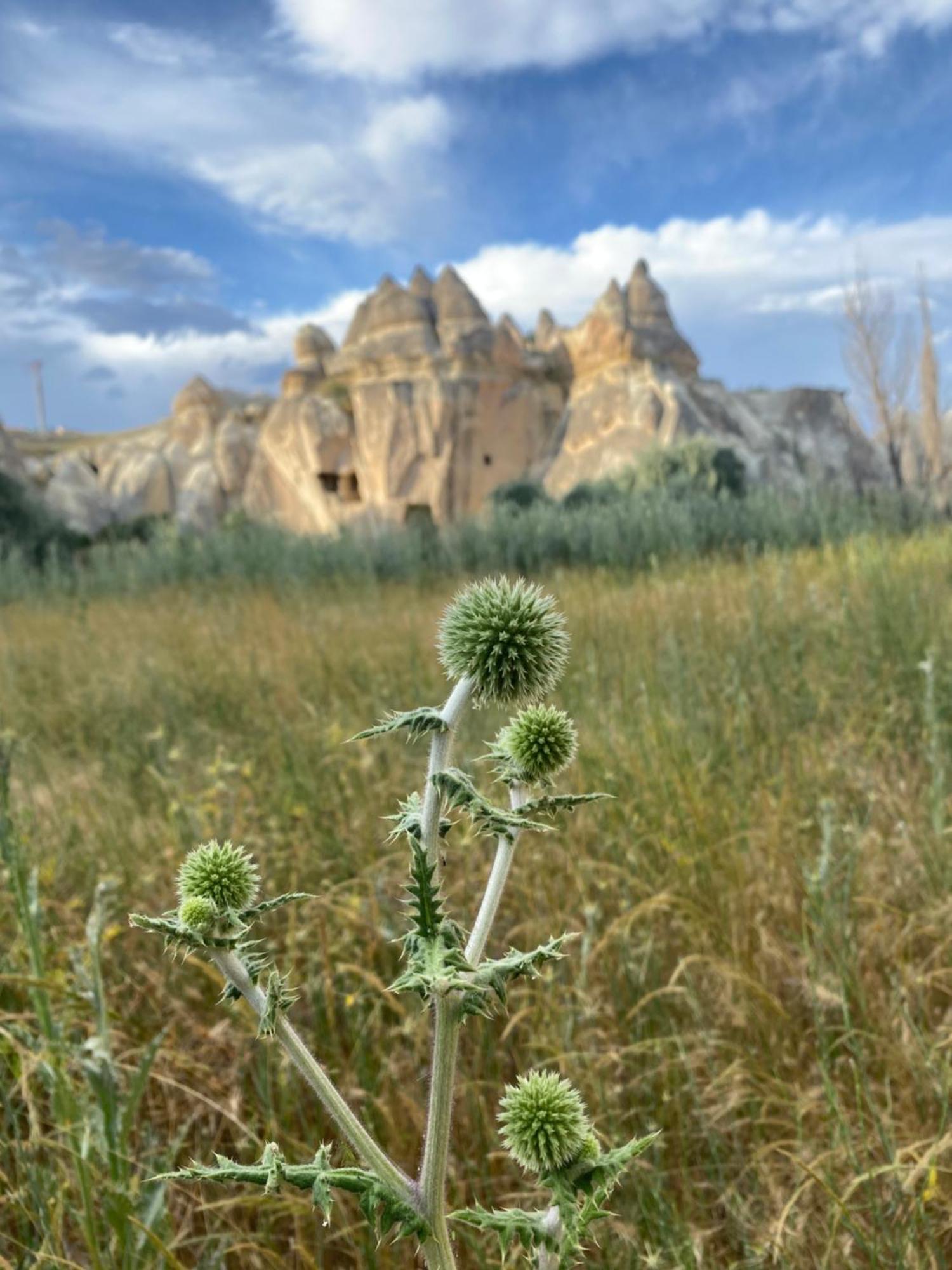 Sinasos Evleri Hotel Nevşehir Luaran gambar