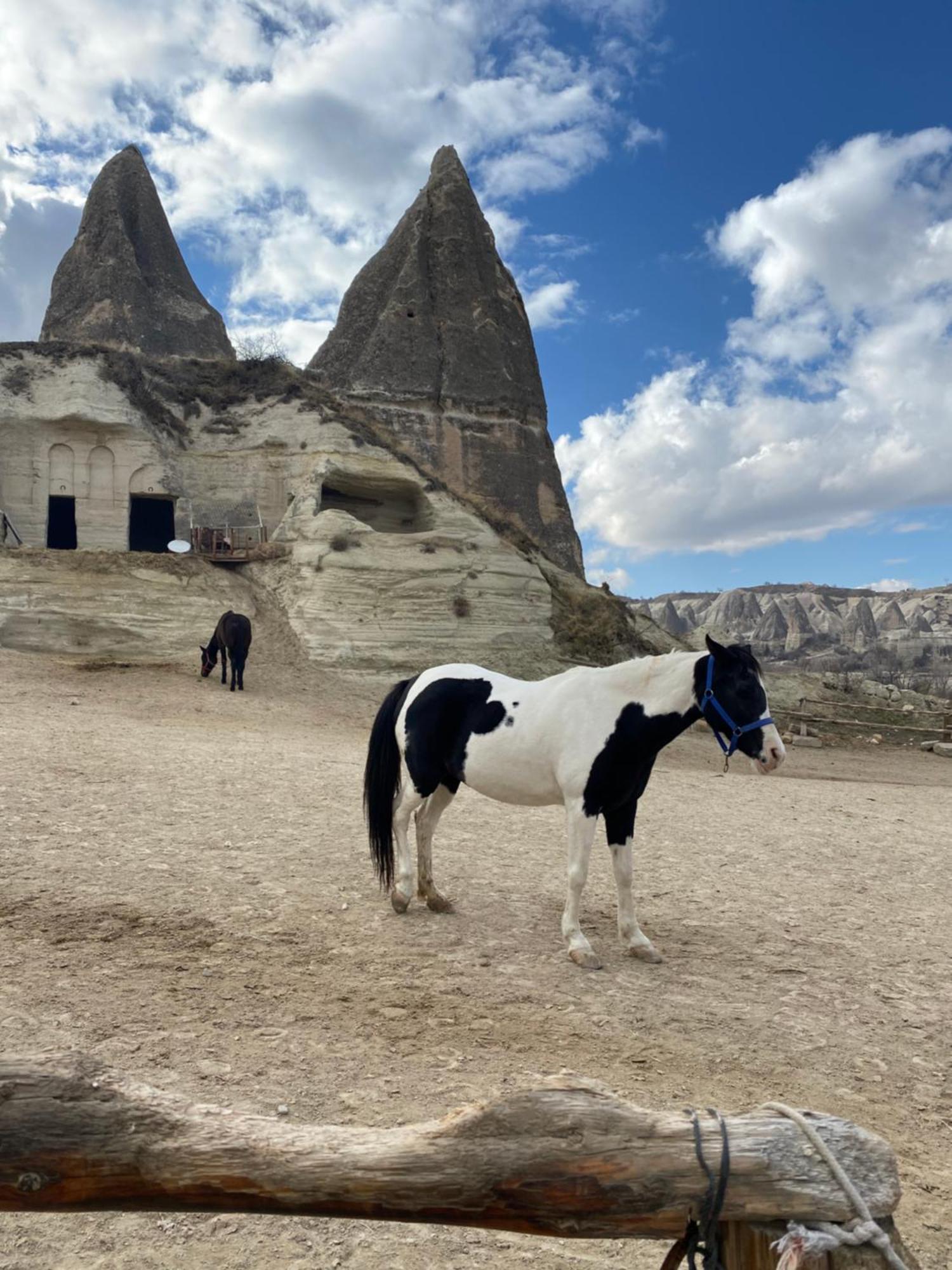 Sinasos Evleri Hotel Nevşehir Luaran gambar